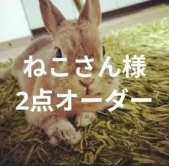 ねこ様_専用ページʕ•̫͡•ʕ•̫͡•ʔ - メルカリ
