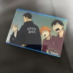 影山飛雄 日向翔陽 烏野高校 ブロマイド No.43 ハイキュー