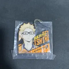 ハイキュー 一番くじ H賞 ラバーキーホルダー 月島蛍