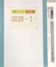 夏期テキスト　実練編　国語　中1