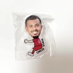セレッソ大阪 チアゴ選手 だっこちゃんクリップ ガチャガチャ ランダム