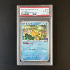 コダック ジムプロモ しめりけ　PSA10