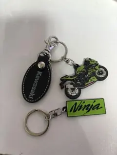 カワサキ バイク アクセサリーのサムネイル