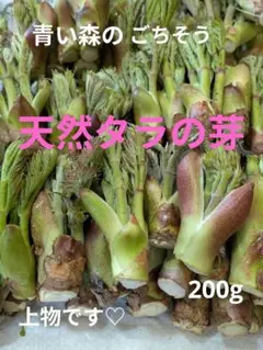 青い森のごちそう　天然タラの芽上物　200g