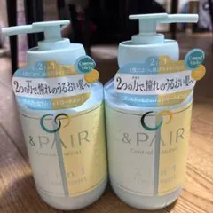 アンドペア コントロール 　モイスト2in1　トリートメント　2個