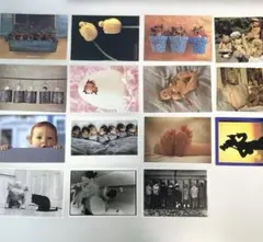 Item thumbnail for item 40c881e2-0156-4c54-9473-ab77e90190d3