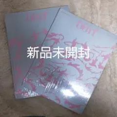 【新品未開封】StrayKids DO IT 通常盤 IT ver 2冊セット