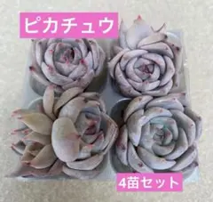 ここあみるく様 リクエスト 2点 まとめ商品