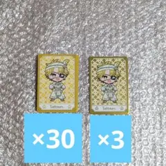 からぴち たっつん ワンダーランド トレカ まとめ売り デフォ ミニ