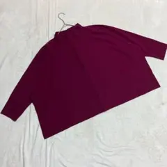 ZARA ザラ ＊ ハイネックトップス プルオーバー 長袖 ドルマンスリーブ