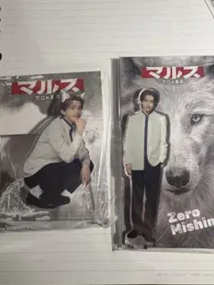 なにわ男子 道枝駿佑 アクスタ マルス