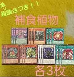 Item thumbnail for item fe9b8d7a-232b-4b30-9db0-233f915a24b5