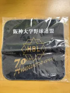 Item thumbnail for item 8de44a64-c957-4bdd-b82c-3579bbc474f9