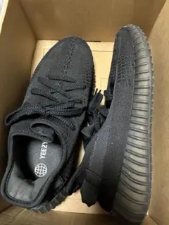 adidas YEEZY BOOST 350 V2 Onyx 27cmのサムネイル