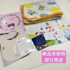 【新品未使用】はじめてばこ　ベビー　ブランケットスタイアルバム手遊びカード