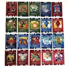 カード迷路　ぐるり森　大冒険　カード　20枚