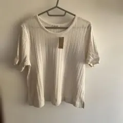 スタジオクリップ　Tシャツ