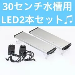 30センチ水槽用 2本 GEX CLEAR LED Power III 300