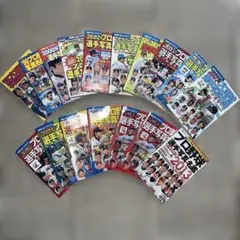 プロ野球選手名鑑19冊（90～92、97～03、05～09、11～13、15） プロ野球オール写真選手名鑑｜定期購読 - 雑誌のFujisan 趣味・スポーツ・実用