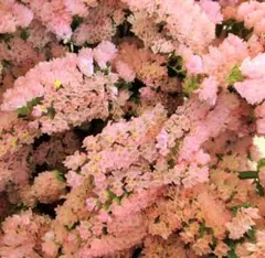 ｙ 〜Loving Flowers〜様 リクエスト 4点 まとめ商品