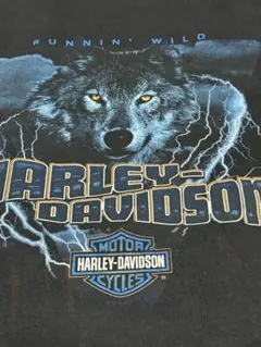 10's Harley サンダー　スカル　ハーレーTウルフ　ブルー　XL XXL