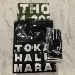 Item thumbnail for item 43dd180e-e291-4e0c-a21d-5c44627d1ec9