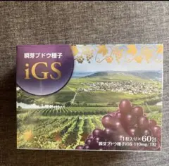 美喜⭐️iGS 瞬芽ブドウ種子iGS 60粒　約2ヶ月分 瞬芽ブドウ種子 iGS 60包入 - メルカリ