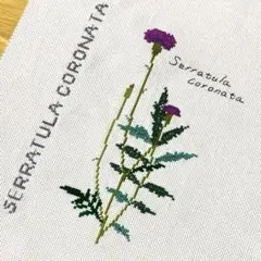 Item thumbnail for item 73766d8f-0de6-4c81-9d0e-2a04b372abaf