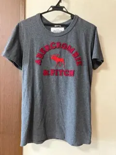 アバクロ　Tシャツ　M