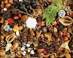 木の実セット リース材料詰め合わせ S84