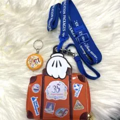 Disney ディズニー　バケーションパッケージ　35周年　パスケース