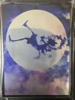 ONEPIECE ワンピース ルフィ ニカ スリーブ