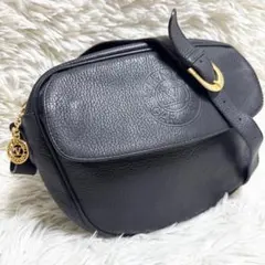 美品✨ヴァレンティノガラヴァーニ ショルダーバッグ レザー ゴールド金具 黒のサムネイル