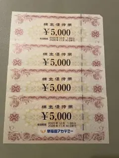 早稲田アカデミー 株主優待券 20000円分