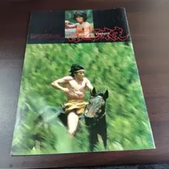 映画『竜二』パンフレット - メルカリ
