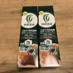 利尻昆布 利尻炭酸カラーシャンプー マロンブラウン 2本セット - メルカリ