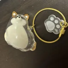 けだまだま 犬 柴犬
