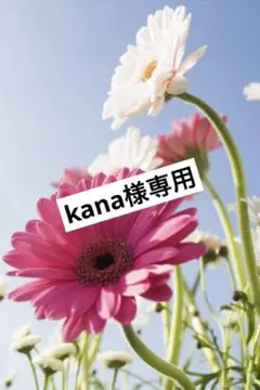 kana様専用
