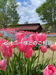 【専用】ピオニーさまとのご相談