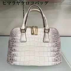 ヒマラヤクロコダイル 2WAY ハンドバッグ ショルダー付 新品未使用