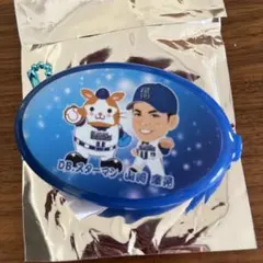 2026年最新】ベイスターズ山崎康晃の人気アイテム - メルカリ
