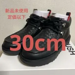 Item thumbnail for item c6a44f2e-c750-47be-a066-f7e7fee42110