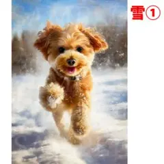 まるちゃん様 専用出品 オーダー制作 追加割引き2枚セット A4サイズ