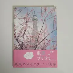 Item thumbnail for item 4bd4ca3d-5221-483a-9e04-55d9351d8f11