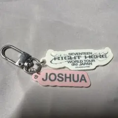 SEVENTEEN right here 2024 カプセルトイ ジョシュア