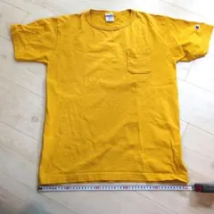 champion t1011 usa