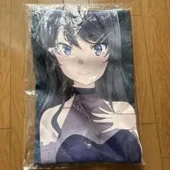 ホロライブ3期生 5周年記念 白銀ノエル 法被 - メルカリ