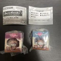 サンリオミニチュアパッケージチャーム シナモ　クロミ