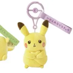 2025年最新】ピカチュウぬいぐるみの人気アイテム - メルカリ