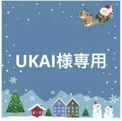 UKAI様専用